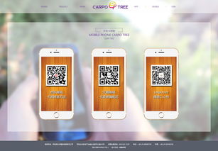 恭賀由硅峰網(wǎng)絡(luò)設(shè)計開發(fā)的 品牌形象營銷官網(wǎng)正式上線運(yùn)營 硅峰動態(tài) 資訊中心 硅峰網(wǎng)絡(luò) 網(wǎng)站設(shè)計 軟件開發(fā) 微信建設(shè),西安最專業(yè)的企業(yè)信息化建設(shè)網(wǎng)絡(luò)公司